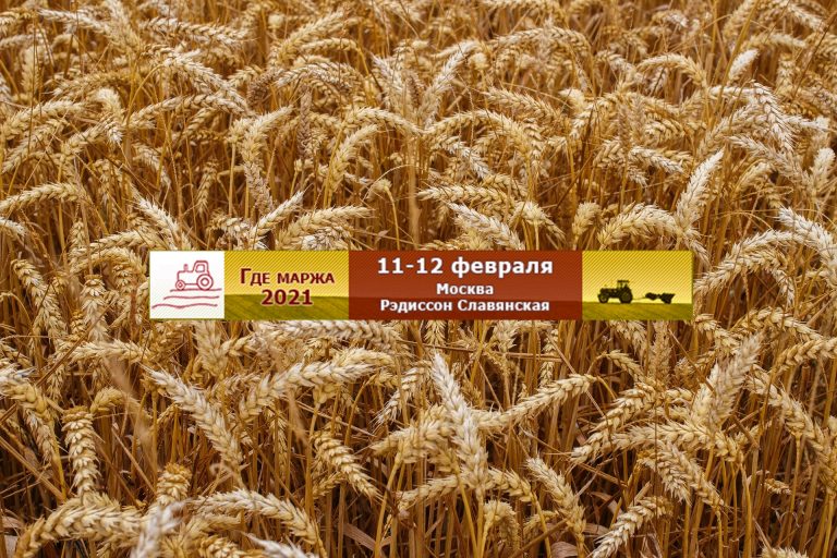 ИКАР приглашает 11-12 февраля в Москву на 12-ю аграрную конференцию ГДЕ МАРЖА 2021