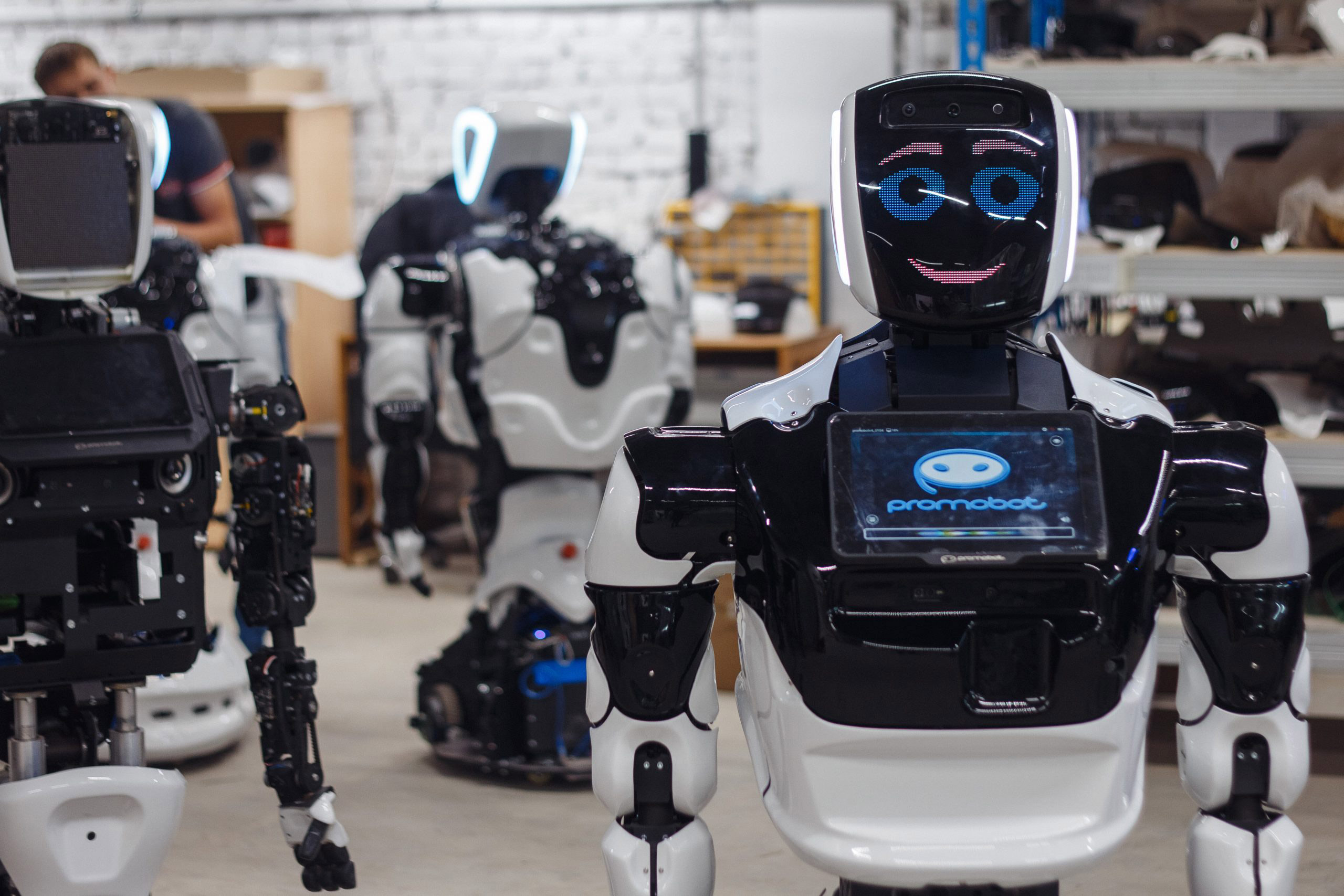 Студенты Томского политеха первыми в России будут изучать робототехнику на роботах Promobot