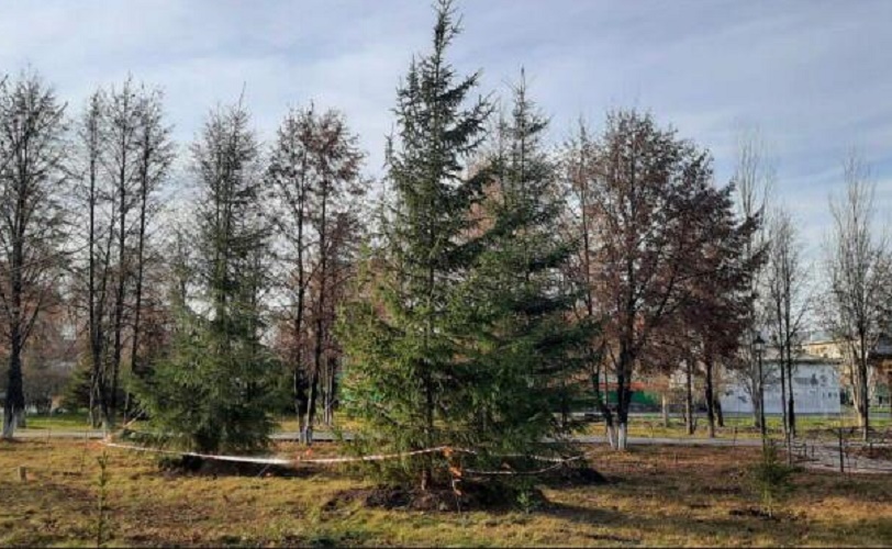 Более 100 зеленых зон появились в Новосибирской области