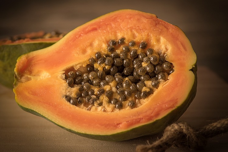 Новый адсорбент из семян папайи поможет очистить сточные воды