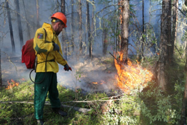 В России будут созданы специализированные подразделения по борьбе с ландшафтными (природными) пожарами