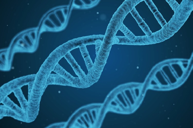 Российские ученые предложили электрохимический метод для оценки влияния лекарства на ДНК