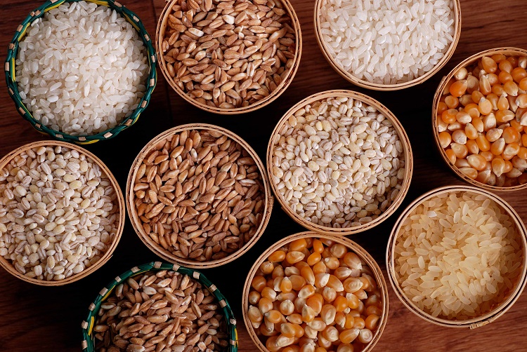 Глубокая переработка зерна и промышленная биотехнология –  в центре внимания на форуме «Грэйнтек»