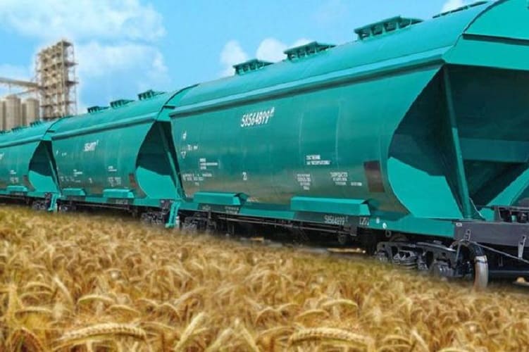 Росжелдор в 2024 году просубсидирует перевозки сельхозпродукции на 6,3 млрд рублей