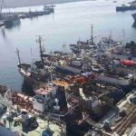 В Приморье грузооборот рыбы растет