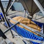 Отгрузки российских зерновозов