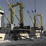 Грузооборот рыбных причалов Росрыболовства в Приморье